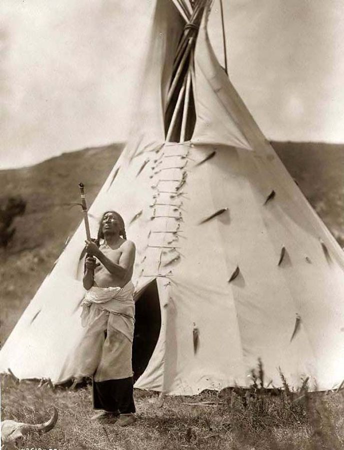 tipi